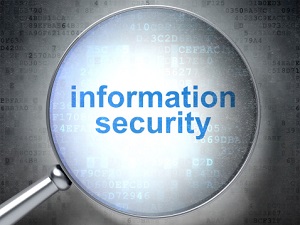 Network Security Services That Take Your Business to the Next Level