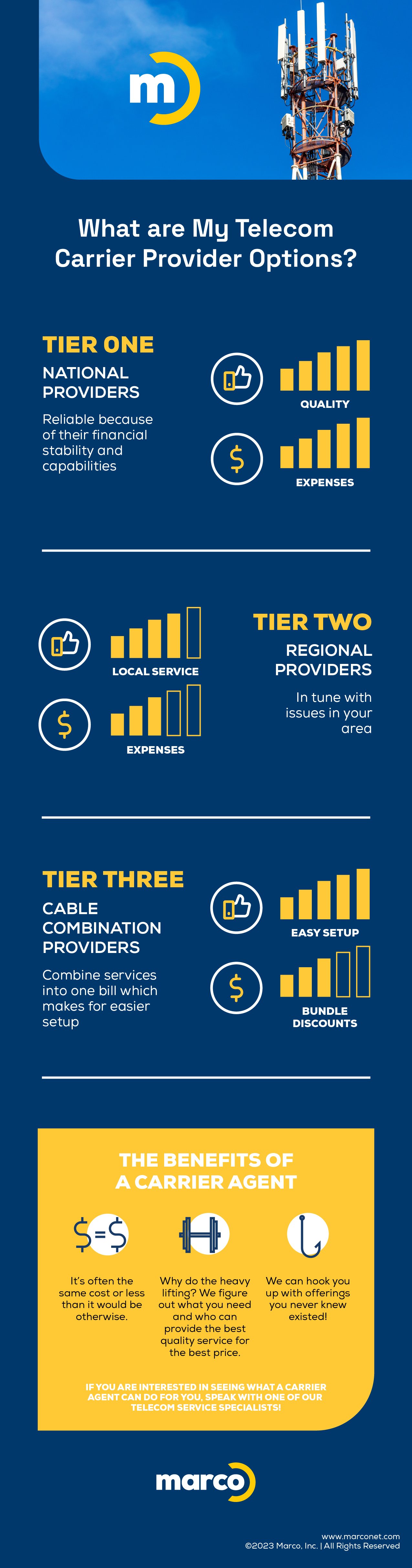 Telecom Carrier Infographic