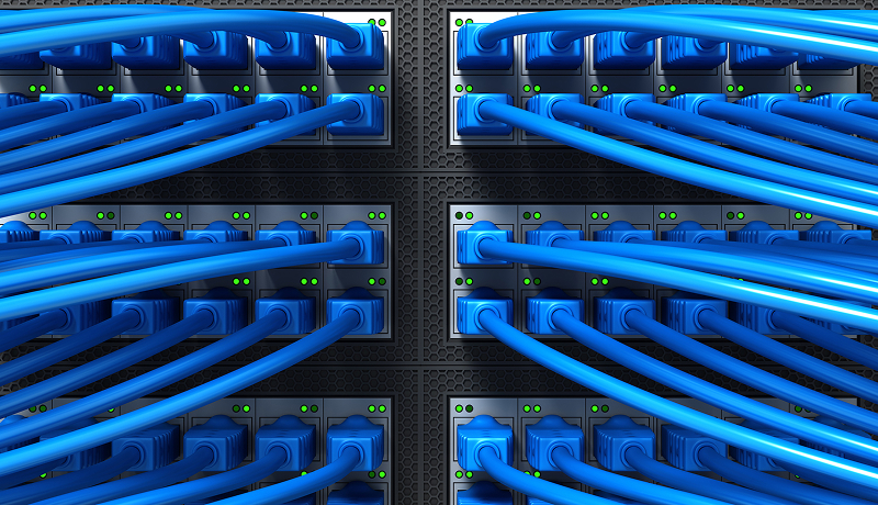 Close-up of blue network cables plugged into a patch panel.