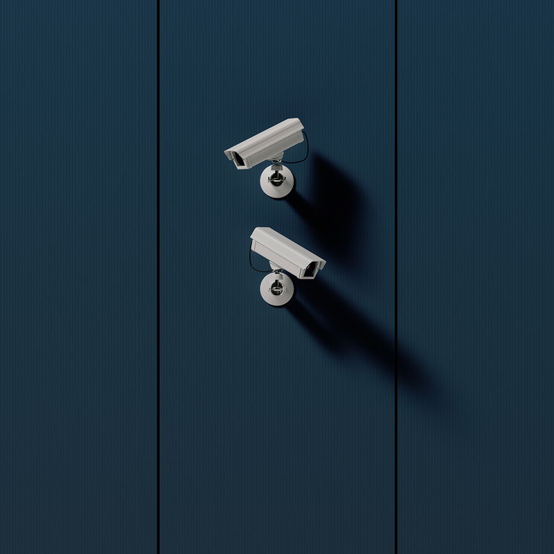 two-white-security-cameras