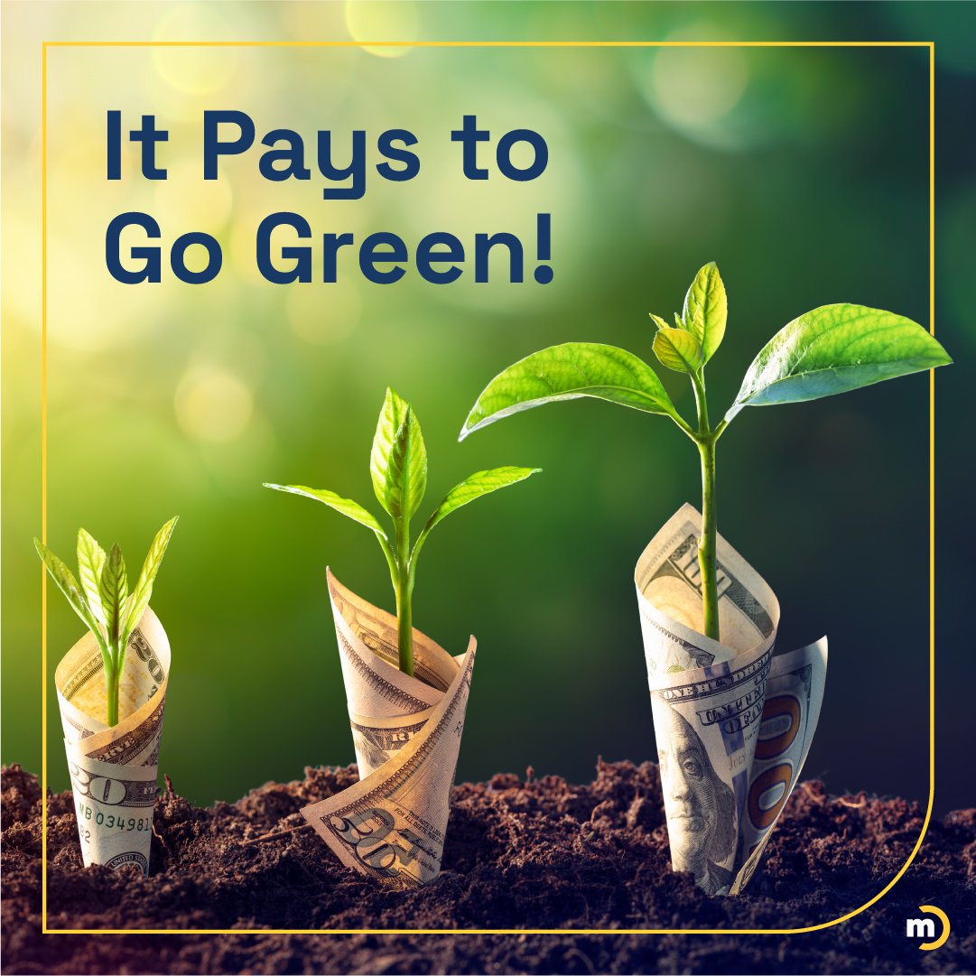 It Pays To Go Green