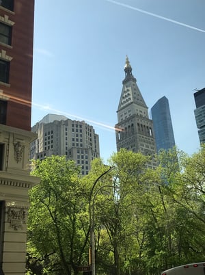 Green tress and tall buildings