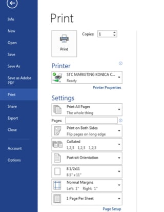 Image depicting the print menu on a PC.